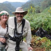  Curtis and Kathy with a Silverback Gorilla Named Ubumwe (Congo)